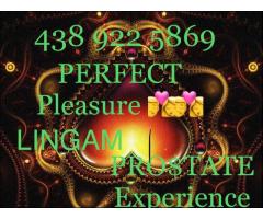 PRIVATE★EXPERIENCE★MASSAGE*PROSTATE*FIST*FACE S*LINGAM*GOLDEN